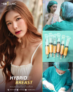 Hybrid Brast ผอมแค่ไหนก็ไม่เป้นบล็อค 01 เสริมหน้าอกHybrid Breast