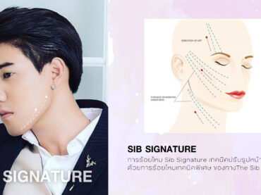 SIB SIGNATURE THE SIB SIGNATURE ร้อยไหม