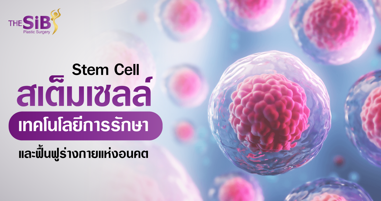 Banner stem cell Stem Cell