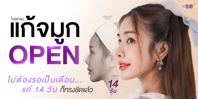 แก้จมูกปลายทะลุ